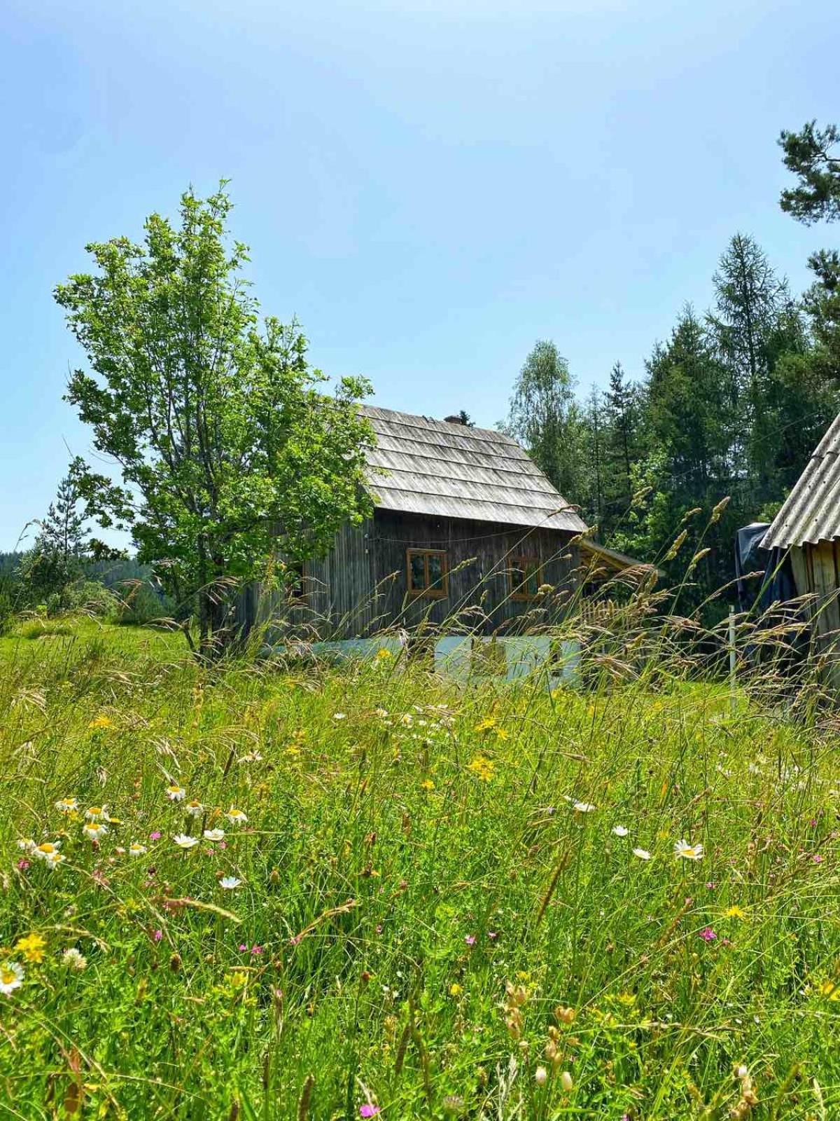 Vukov Konak - Wolf'S Lodge Zabljak  Exterior photo