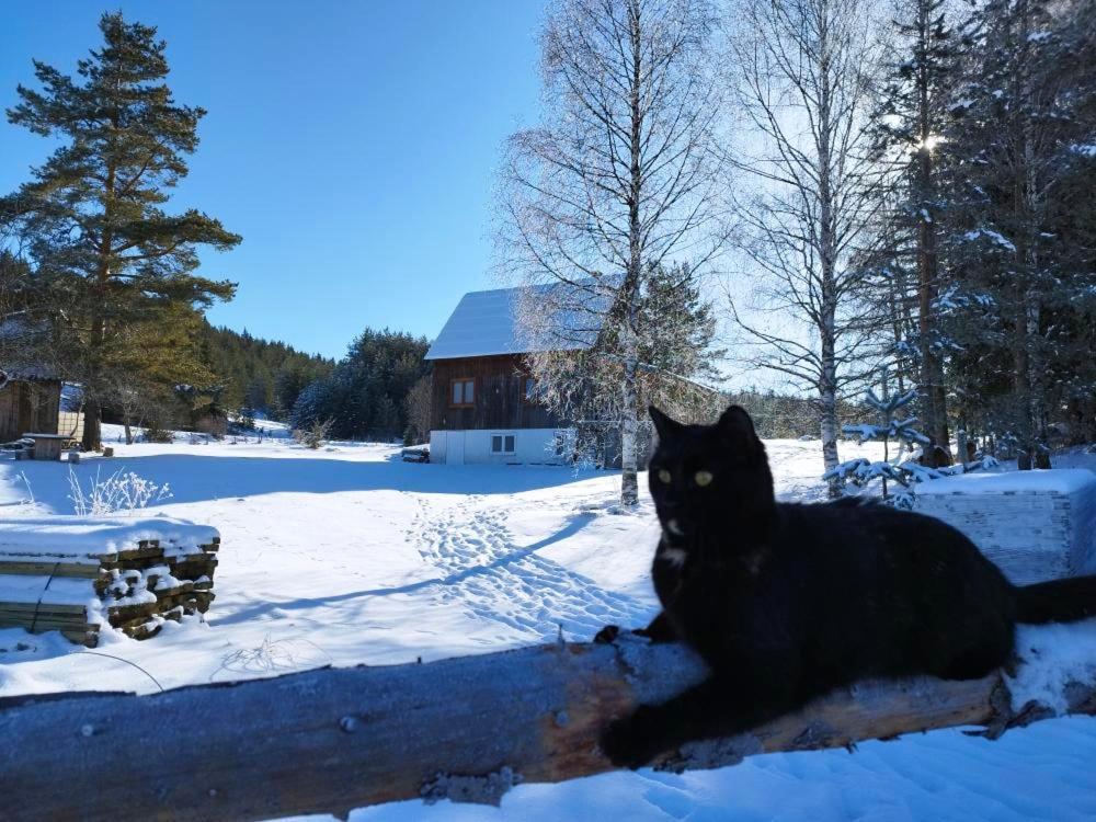 Vukov Konak - Wolf'S Lodge Zabljak  Exterior photo